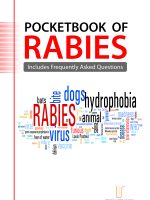 Pocketbook of RABIES - Includes Frequently Asked Questions